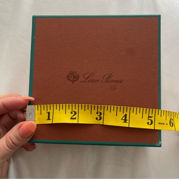 Loro Piana Small Garment Bag and Box – Authentic Luxury Travel and Storage - Picture 6 of 10